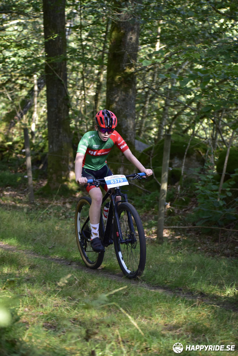 Bild från Bockstensturen 2019